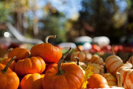 Neebing News – October 2025